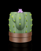 Uplifting Bloom Planter