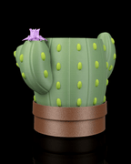 Uplifting Bloom Planter