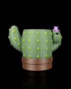 Uplifting Bloom Planter