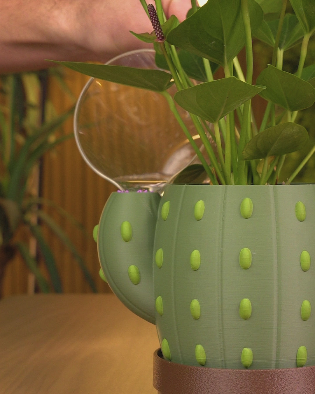 Uplifting Bloom Planter