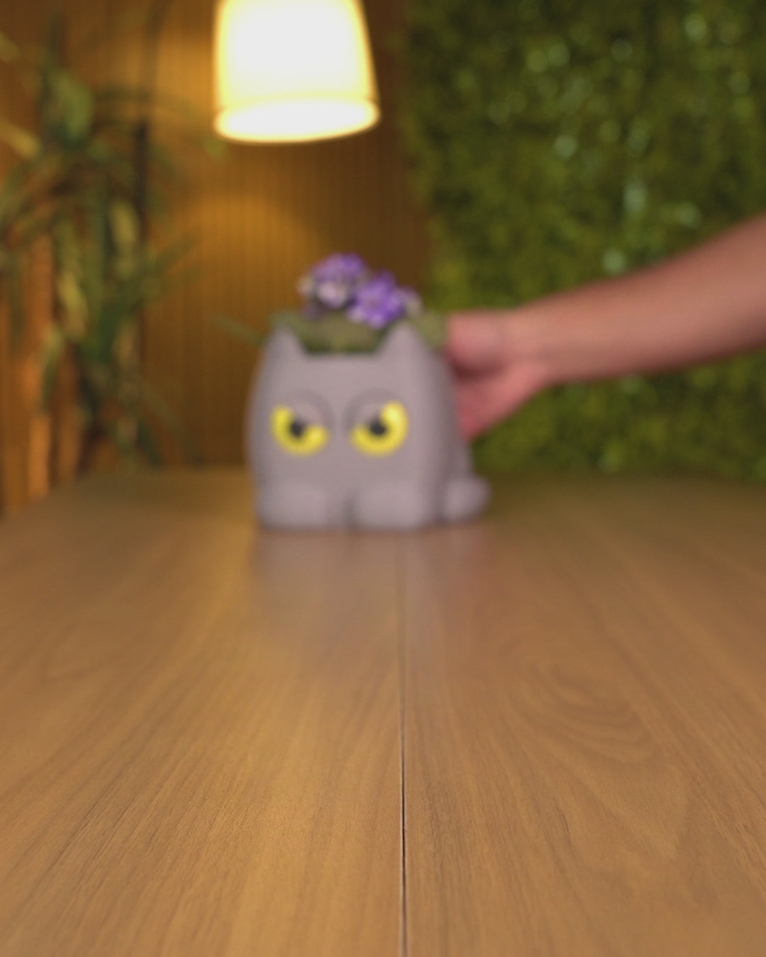 Uplifting Grumpy Kitty Planter